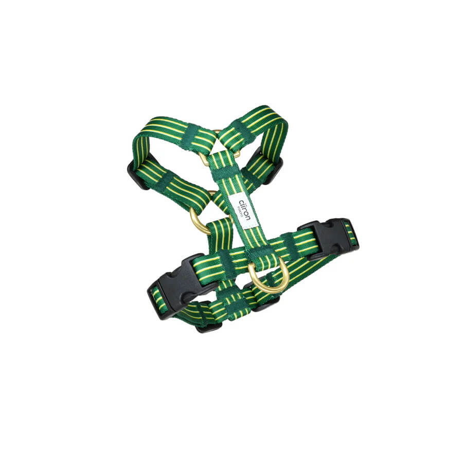 ciiron｜ハーネス Trad